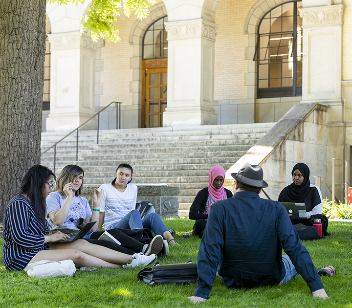 People sitting under a tree