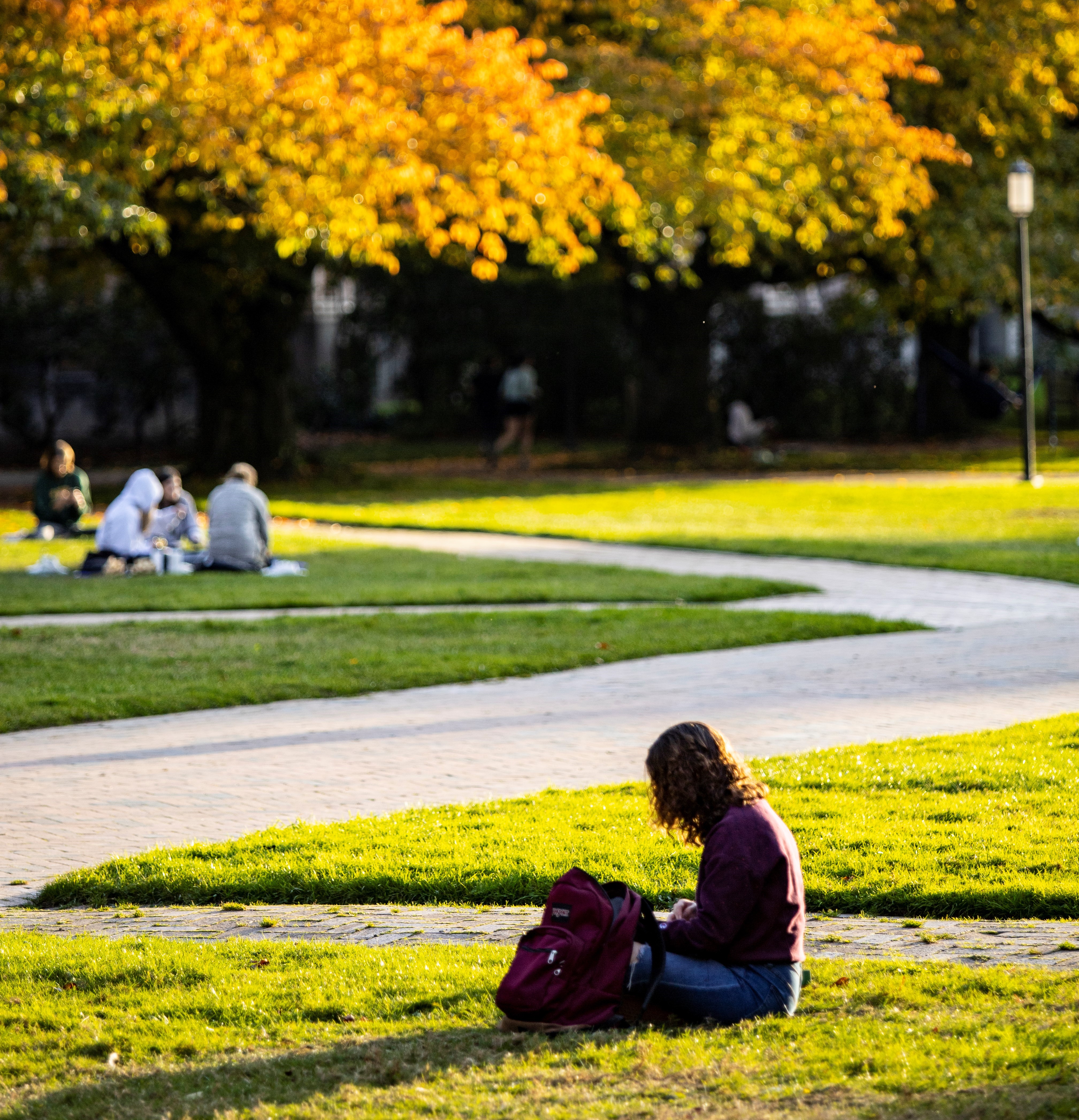 Student sitting in quad on grass. 