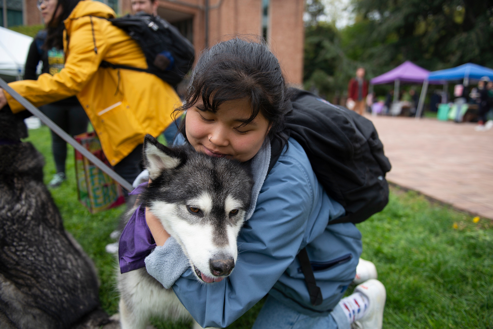 A student hugs a husky