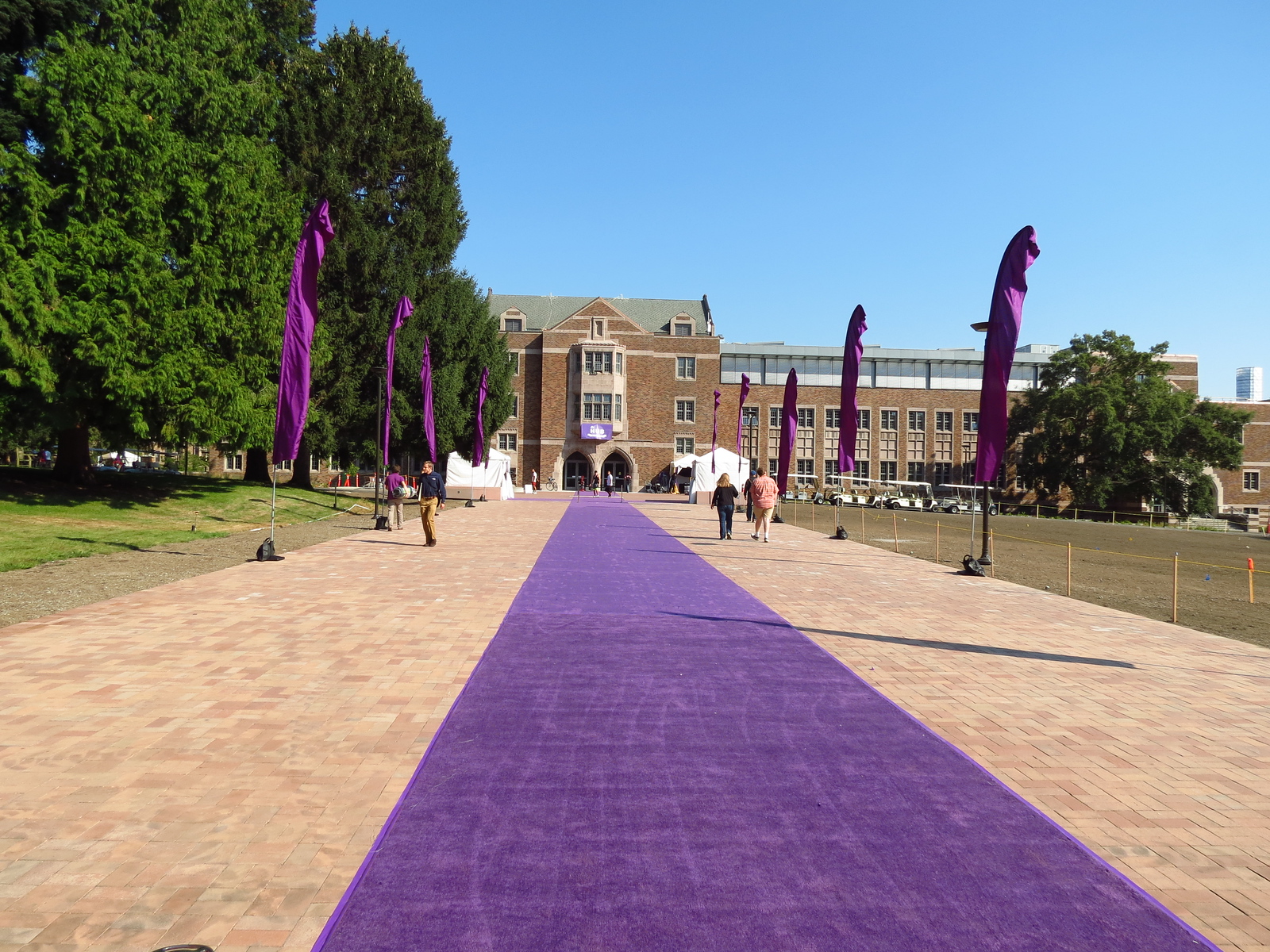 A purple carpet stretches into the distance