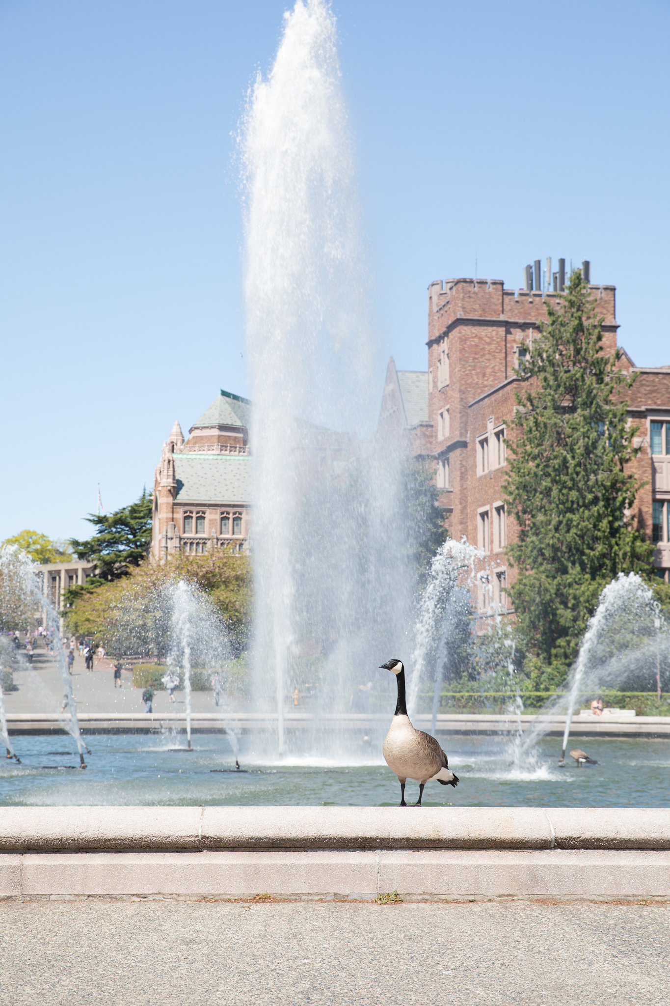 Fountain with goose